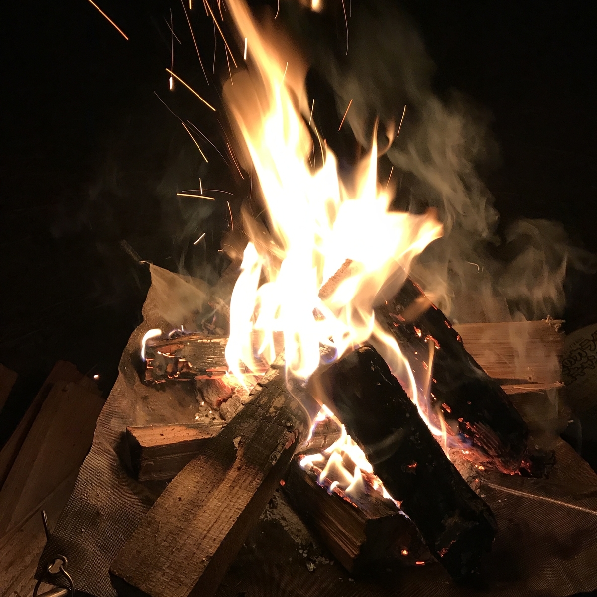 f:id:uchisobako:20191010225001j:plain f:id:uchisobako:20191010225001j:plain