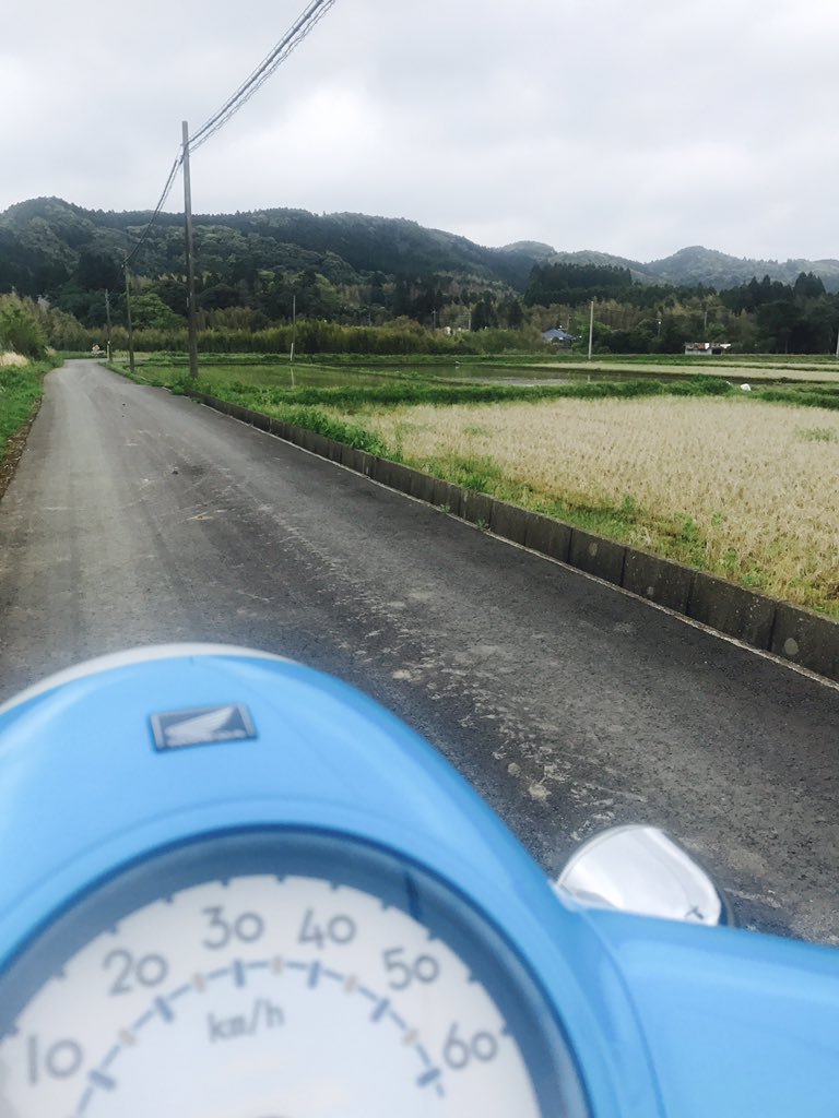 f:id:uchisobako:20191014015939j:plain f:id:uchisobako:20191014015939j:plain