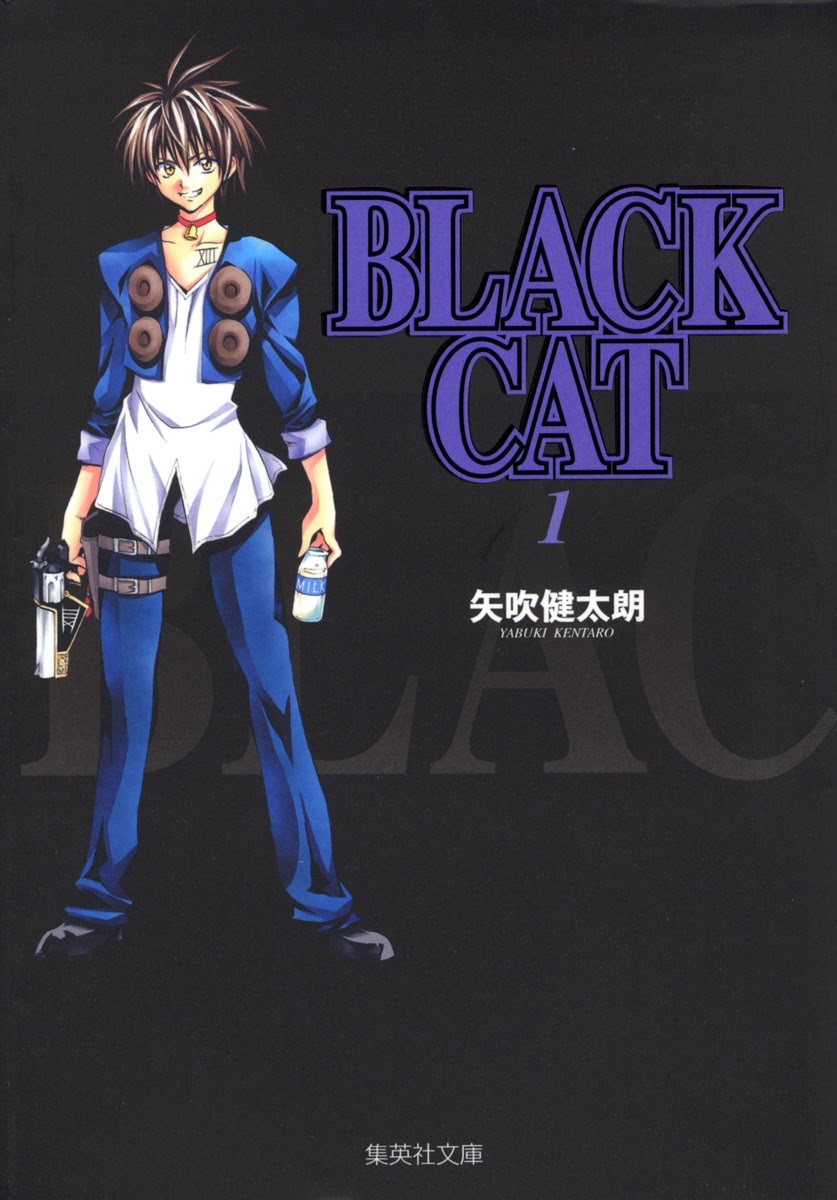 BLACK CAT：伝説の暗殺者が紡ぐ壮大な冒険物語！魅力とあらすじ