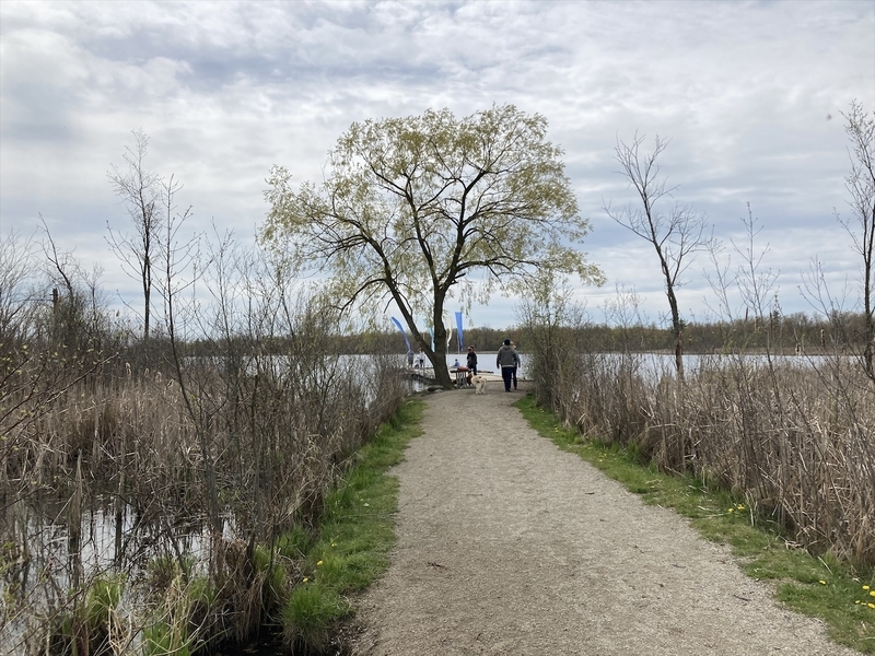 大学が見える公園 ミシガン州ノバイの北西に位置する公園、ケンジントンメトロ