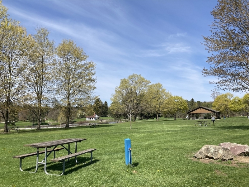 大学が見える公園 Favorite Parks nearby Bellevue｜picton_wakaba