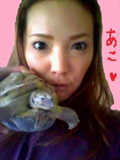 f:id:uchu5213:20170930173308j:plain