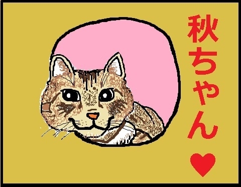 f:id:uchu5213:20171030182000j:plain