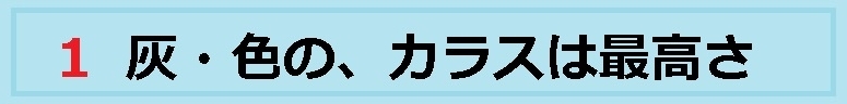 f:id:uchu5213:20180417010602j:plain f:id:uchu5213:20180417010602j:plain