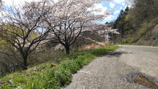 f:id:uchuno232:20220619144941j:image