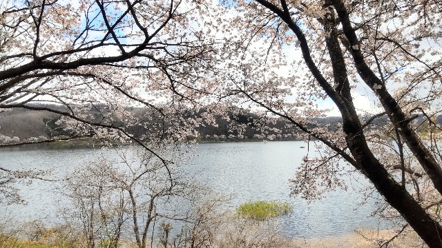 f:id:uchuno232:20220619145304j:image