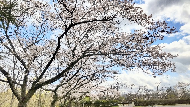 f:id:uchuno232:20220619190701j:image