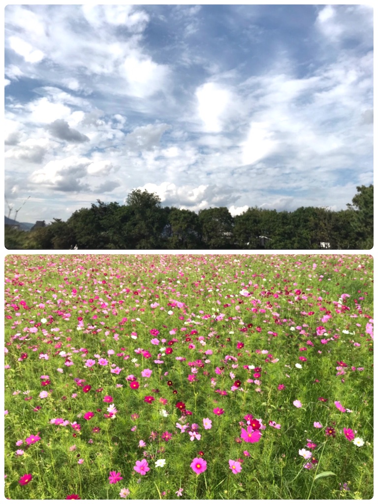 f:id:ucrentacar:20181022233253j:image