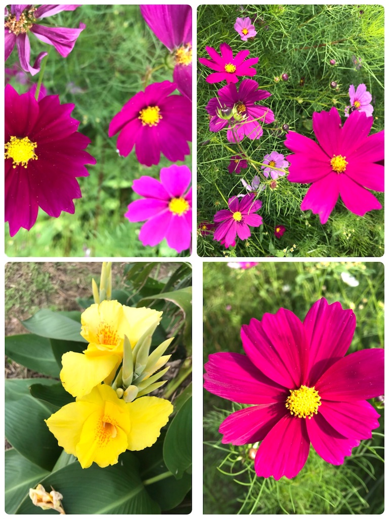 f:id:ucrentacar:20181022233255j:image