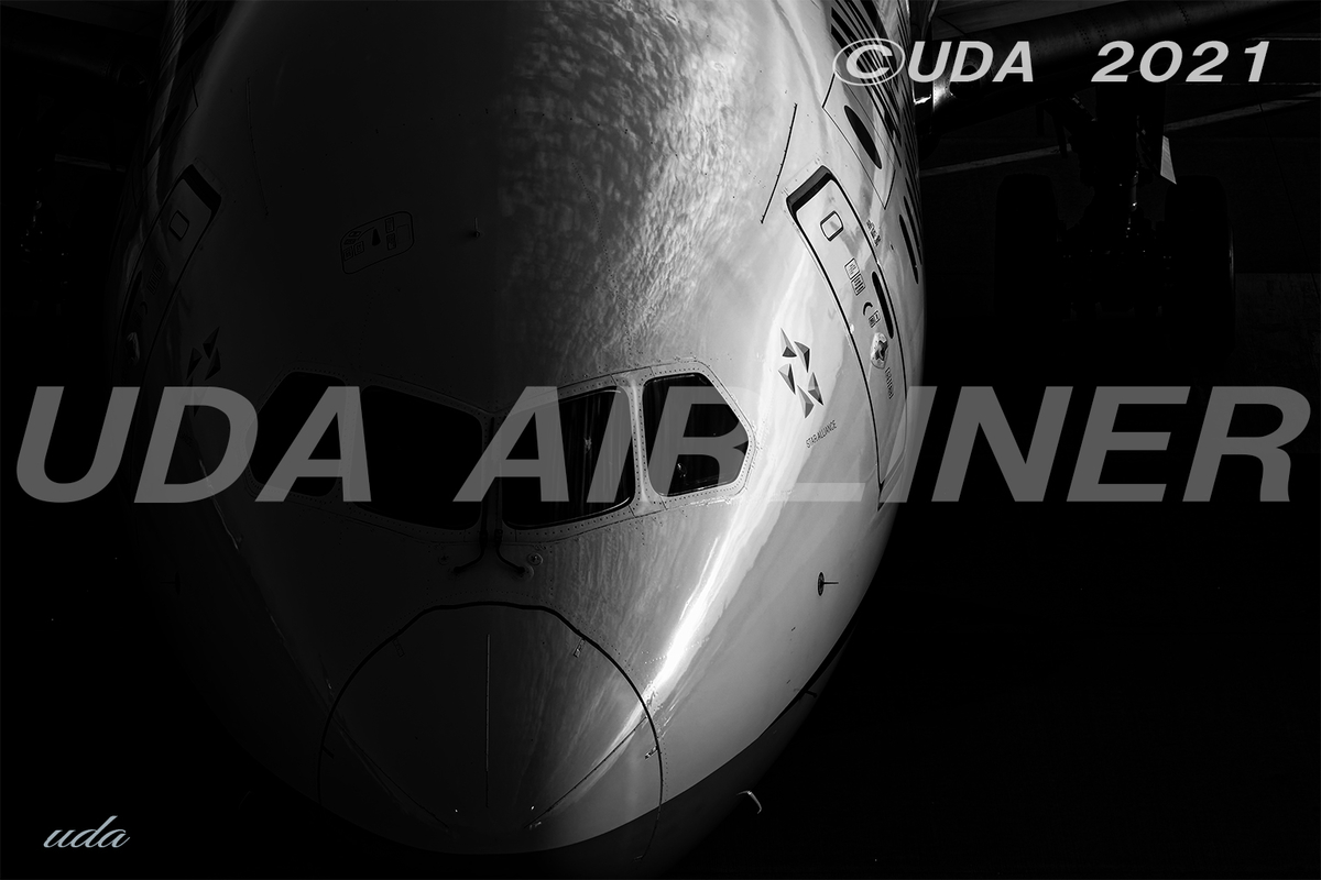 単独行動 Udaairliner