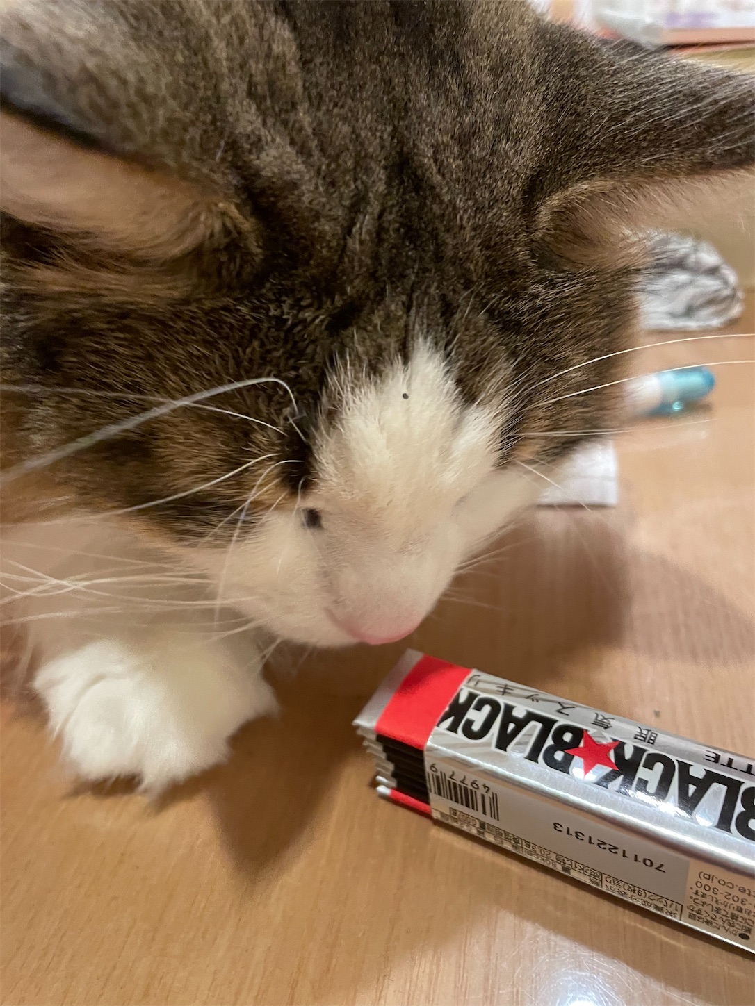 f:id:udaigotenno:20230102221335j:image