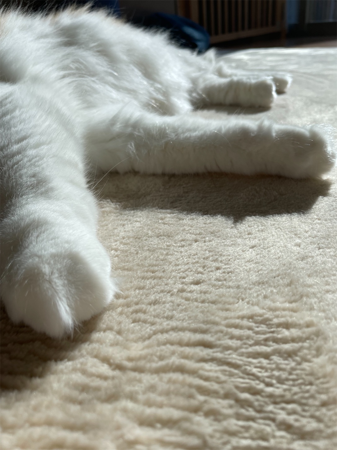 f:id:udaigotenno:20230120171007j:image