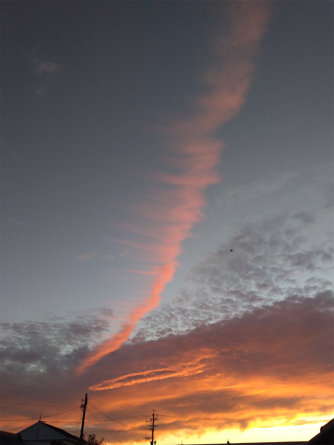 f:id:udaigotenno:20230120171224j:image