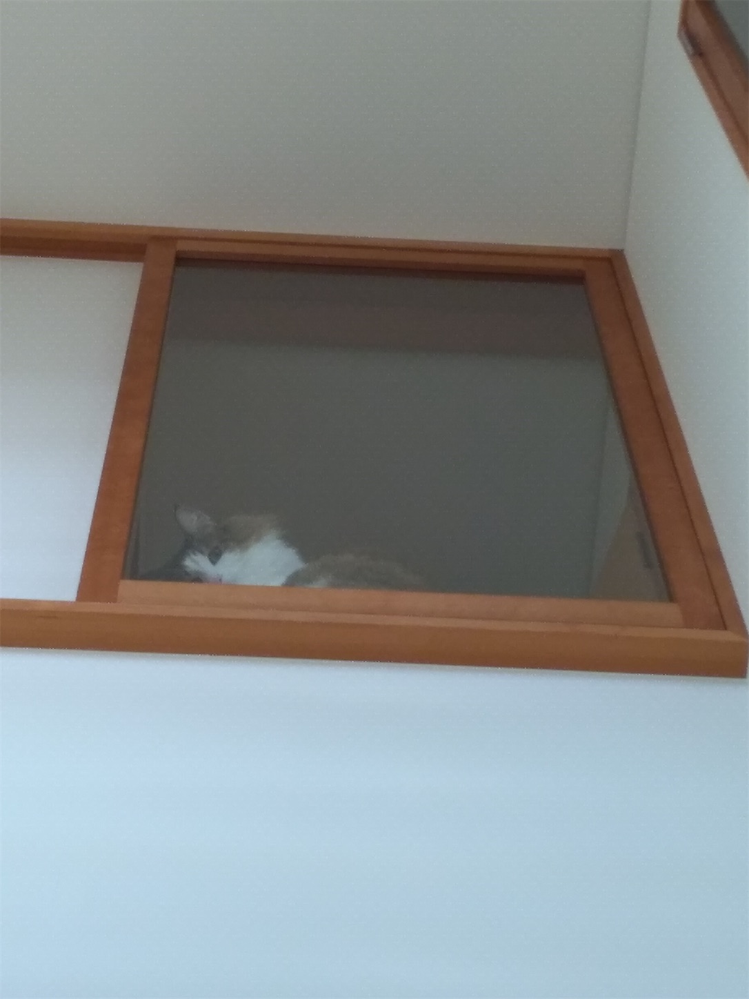 f:id:udaigotenno:20230120171503j:image