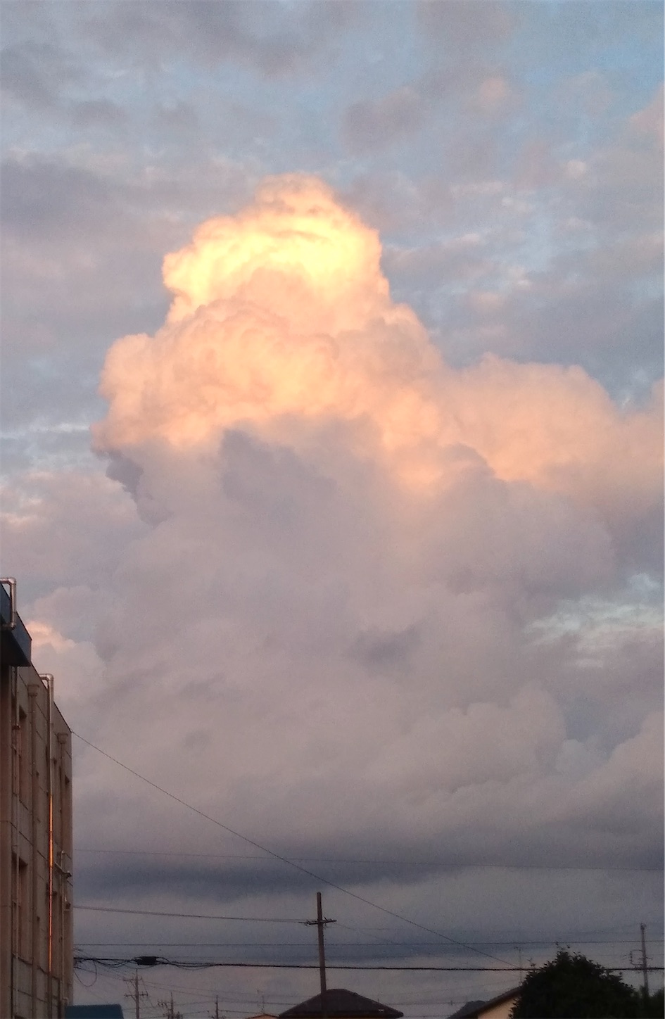 f:id:udaigotenno:20230120171756j:image