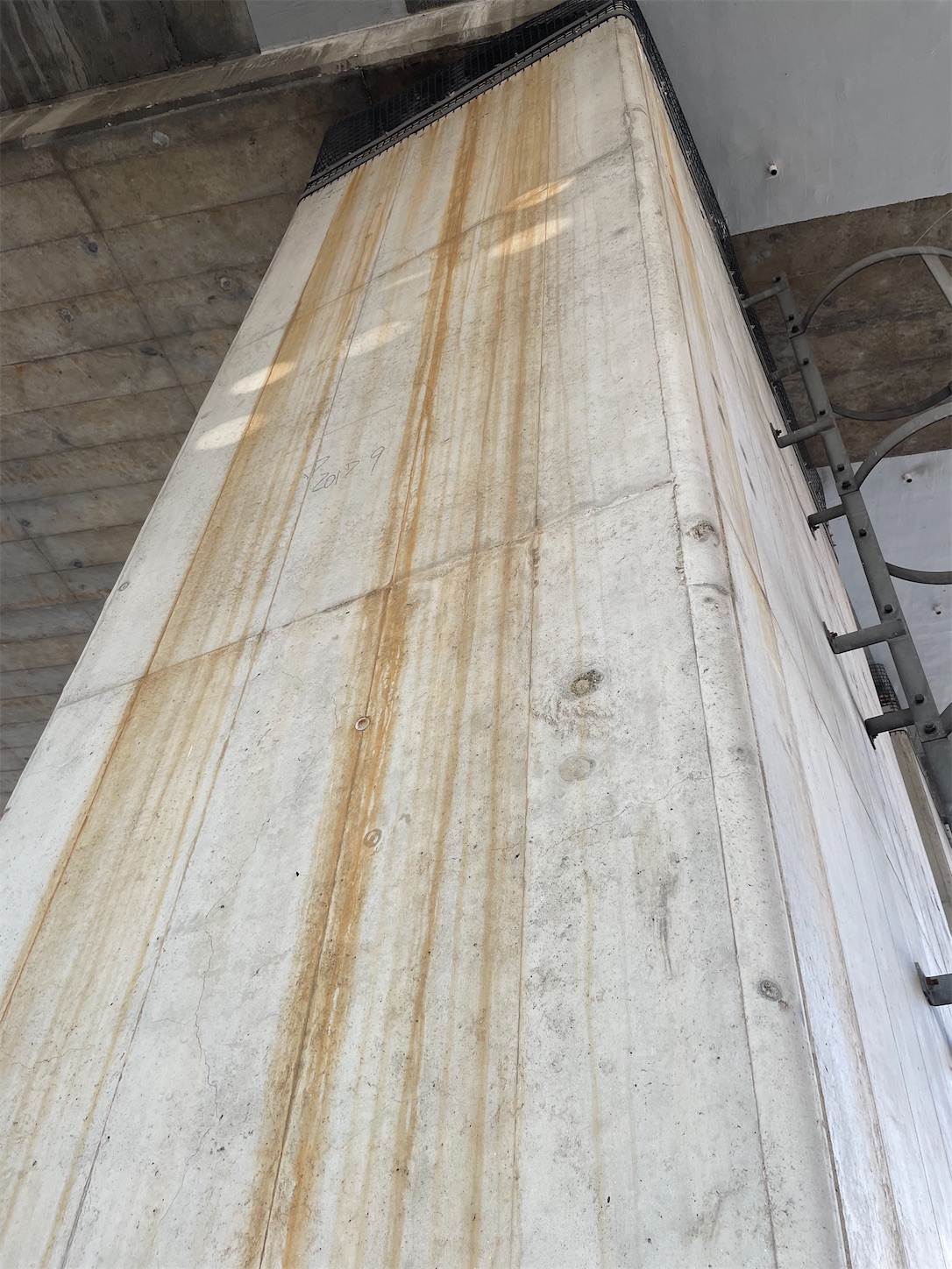 f:id:udaigotenno:20230204171928j:image f:id:udaigotenno:20230204171928j:image