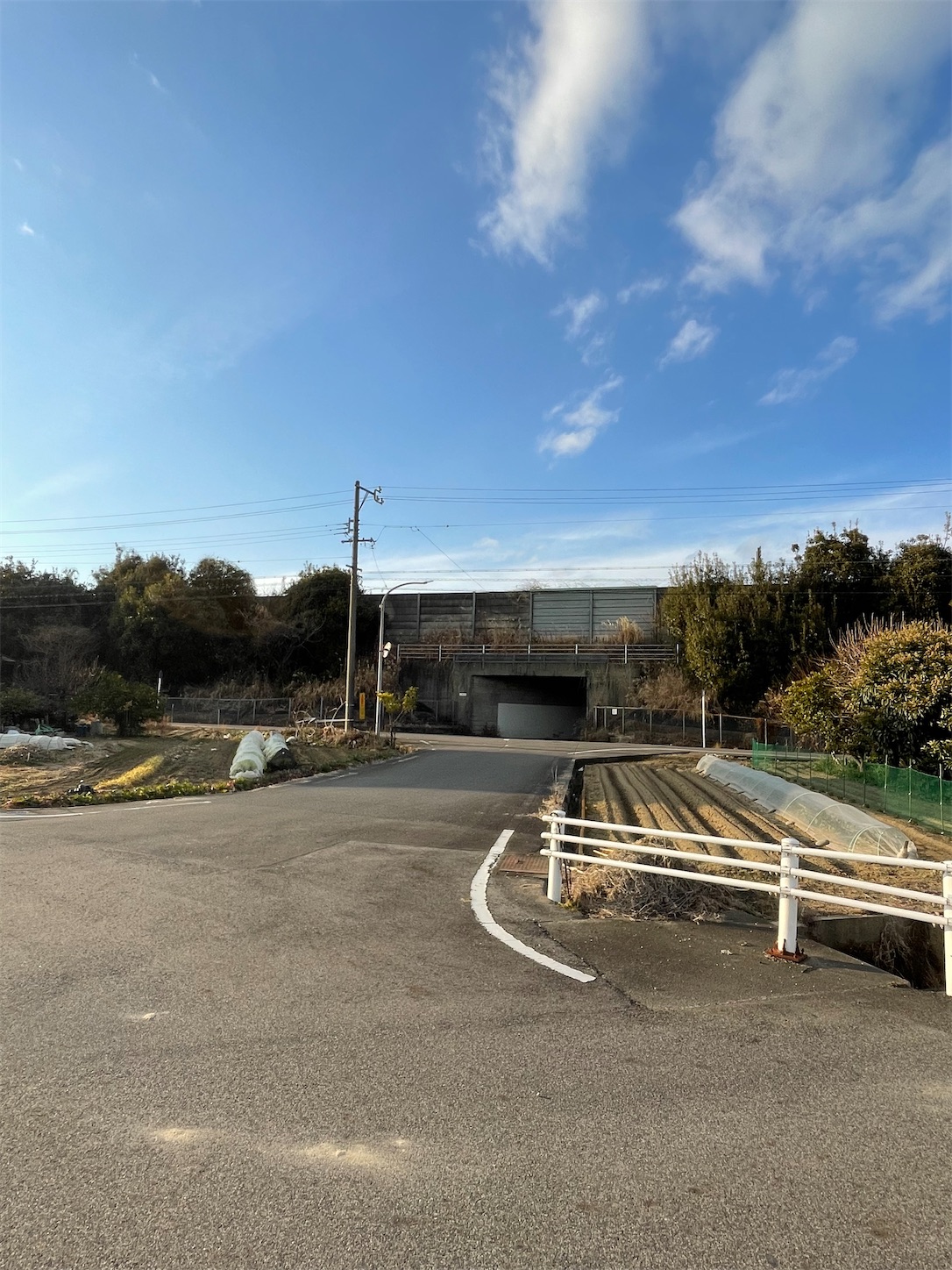 f:id:udaigotenno:20230204173945j:image f:id:udaigotenno:20230204173945j:image