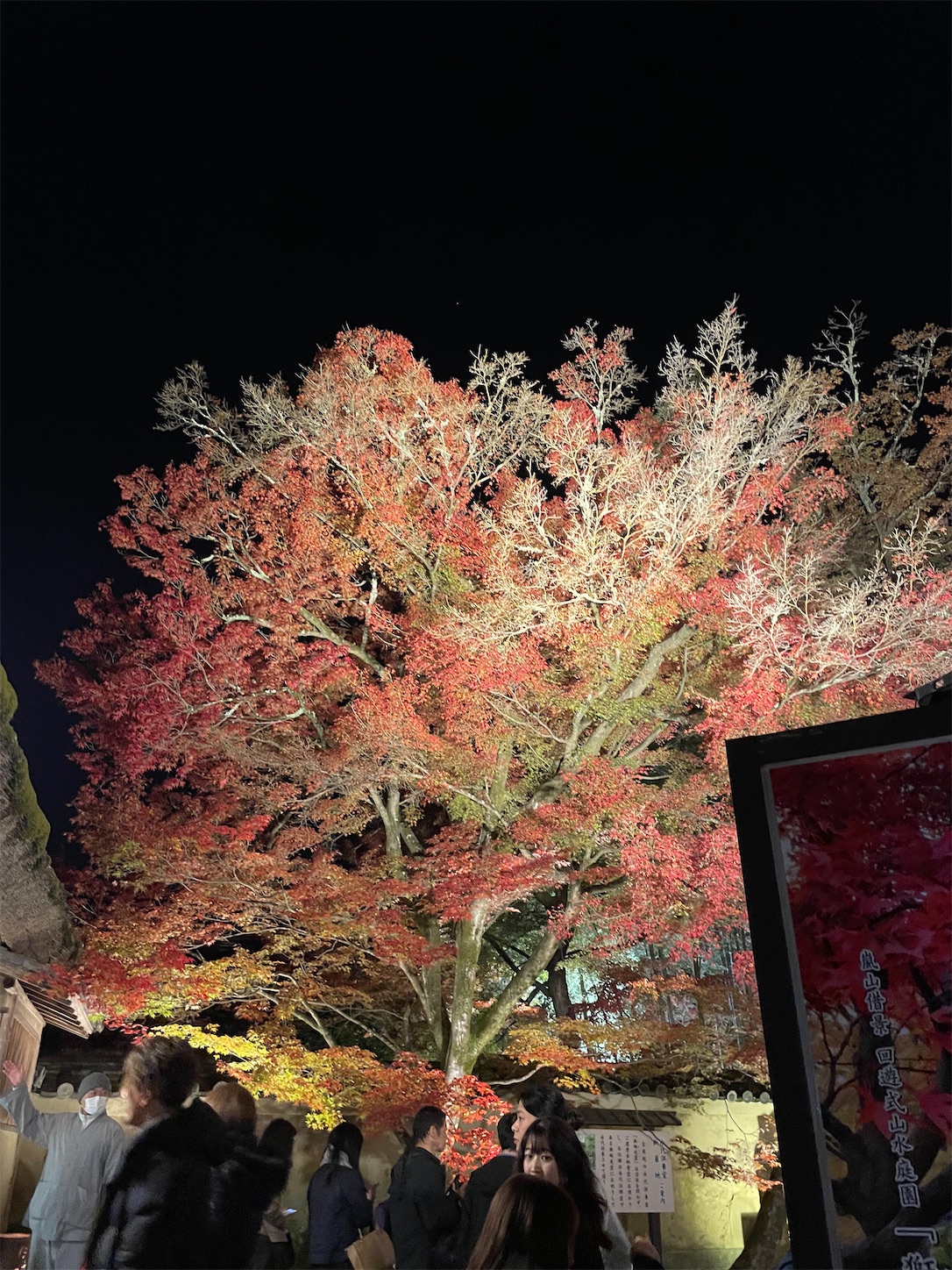 f:id:udaigotenno:20240304234655j:image