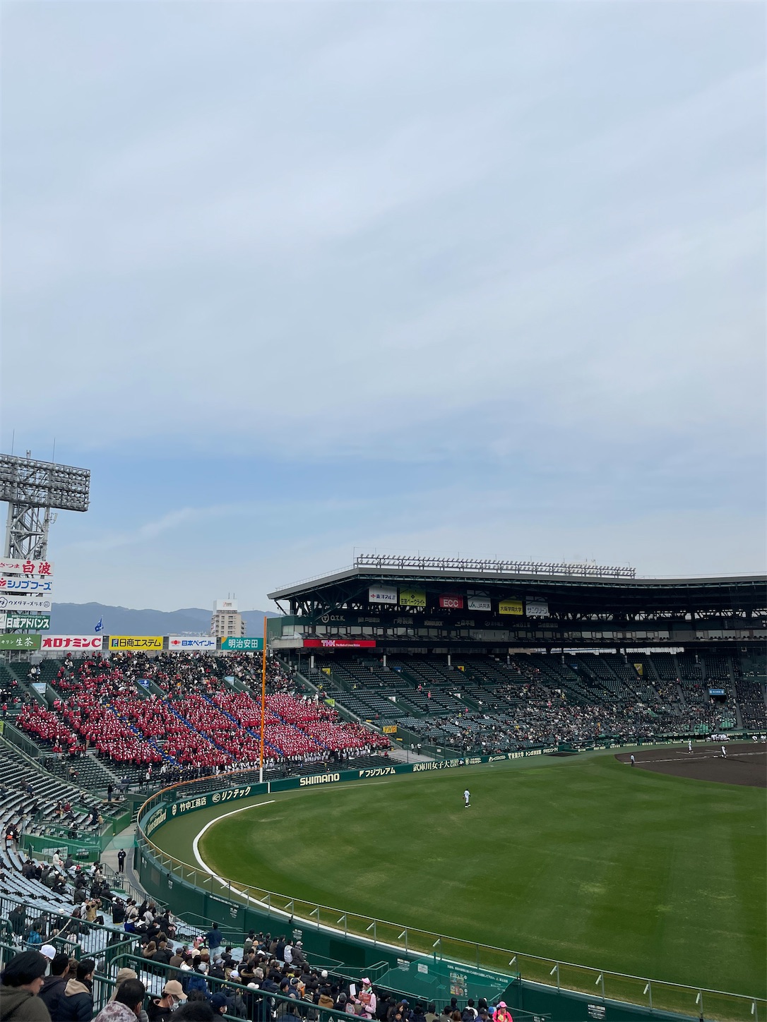 f:id:udaigotenno:20240319230014j:image