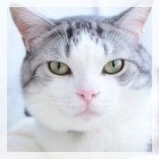 f:id:udama1212:20161026113448j:plain