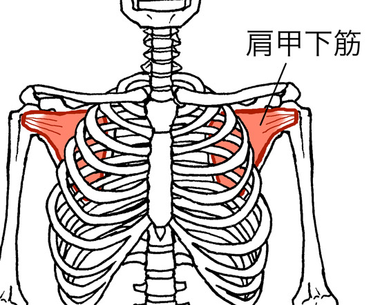アームレスリング 最短で腕相撲が強くなりたいならサイドプレッシャーを鍛えるべき アームマンの筋トレ情報発信