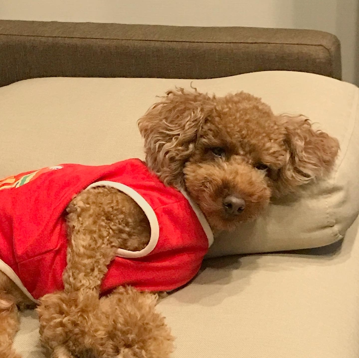 f:id:udedokeipark:20200814220549j:plain