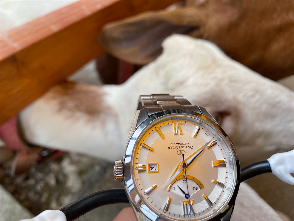 f:id:udedokeipark:20200923231519j:image