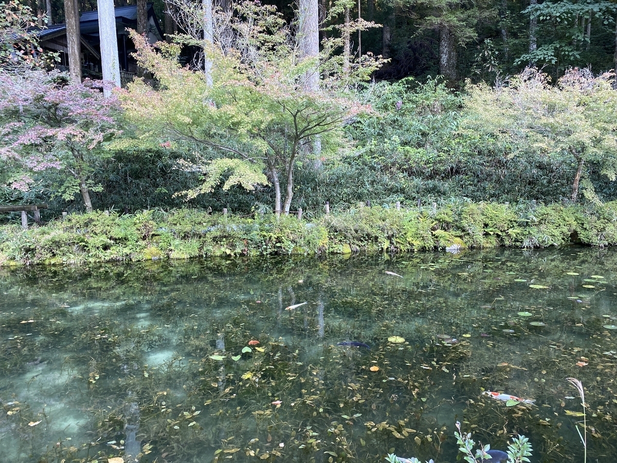 f:id:udedokeipark:20201026001410j:plain f:id:udedokeipark:20201026001410j:plain