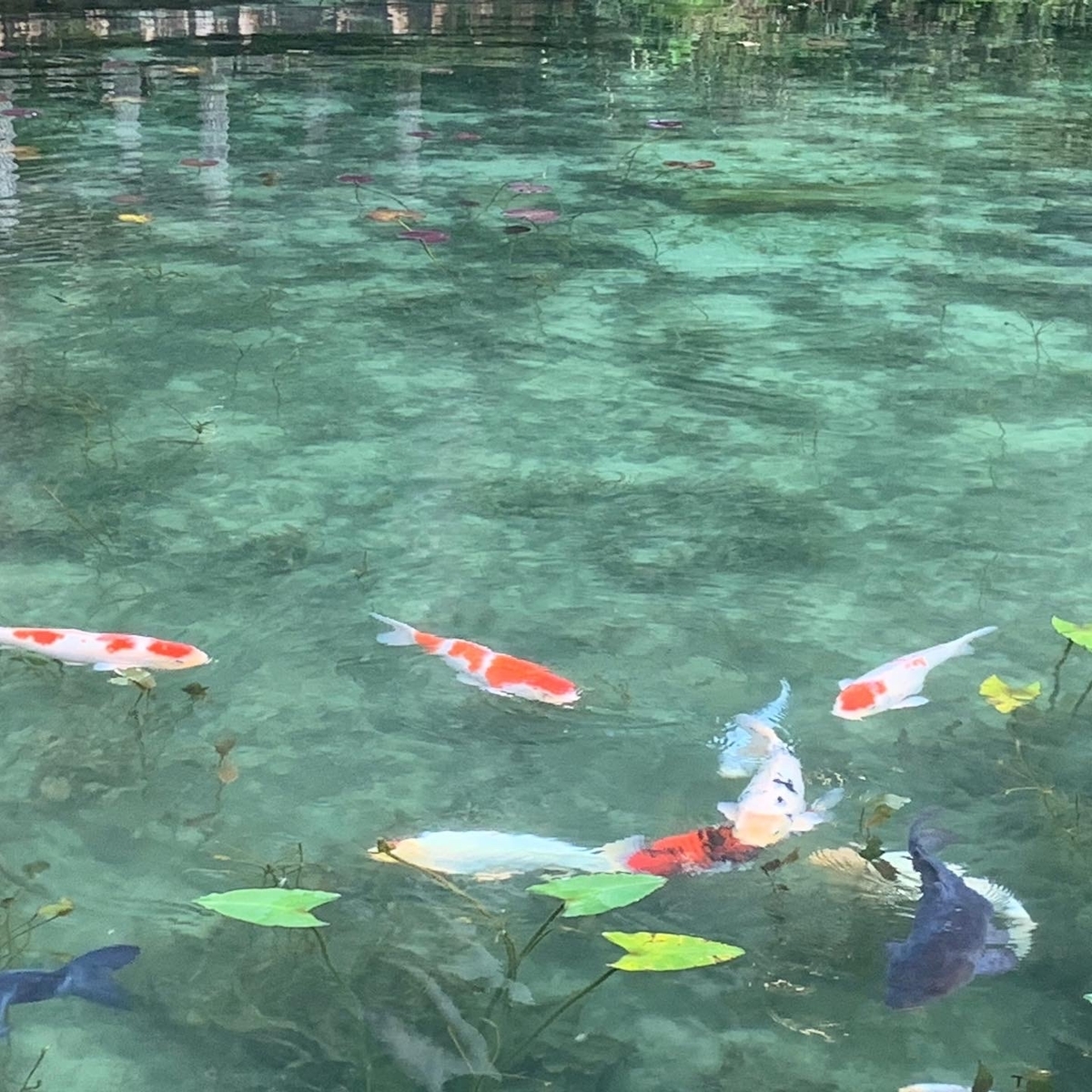 f:id:udedokeipark:20201026002932j:plain