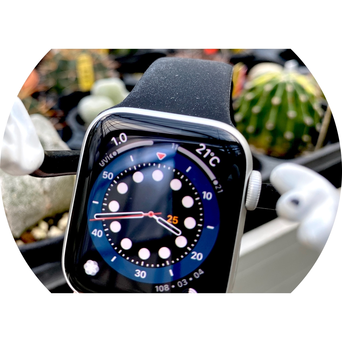 f:id:udedokeipark:20201026234455j:plain