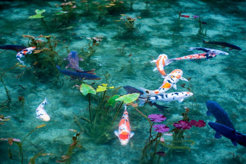 f:id:udedokeipark:20201026235246j:plain