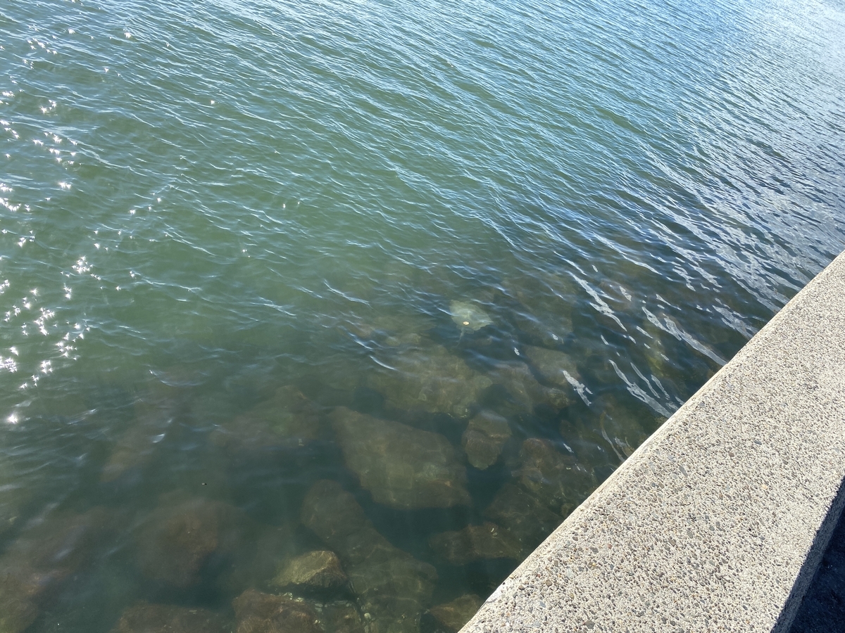 f:id:udedokeipark:20201027000959j:plain f:id:udedokeipark:20201027000959j:plain