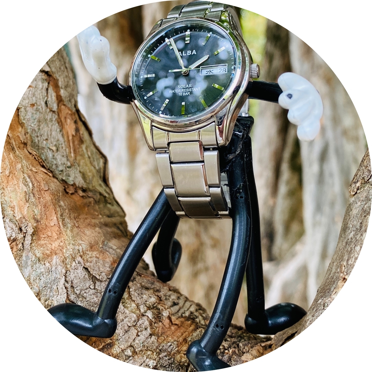 f:id:udedokeipark:20201103103959j:plain