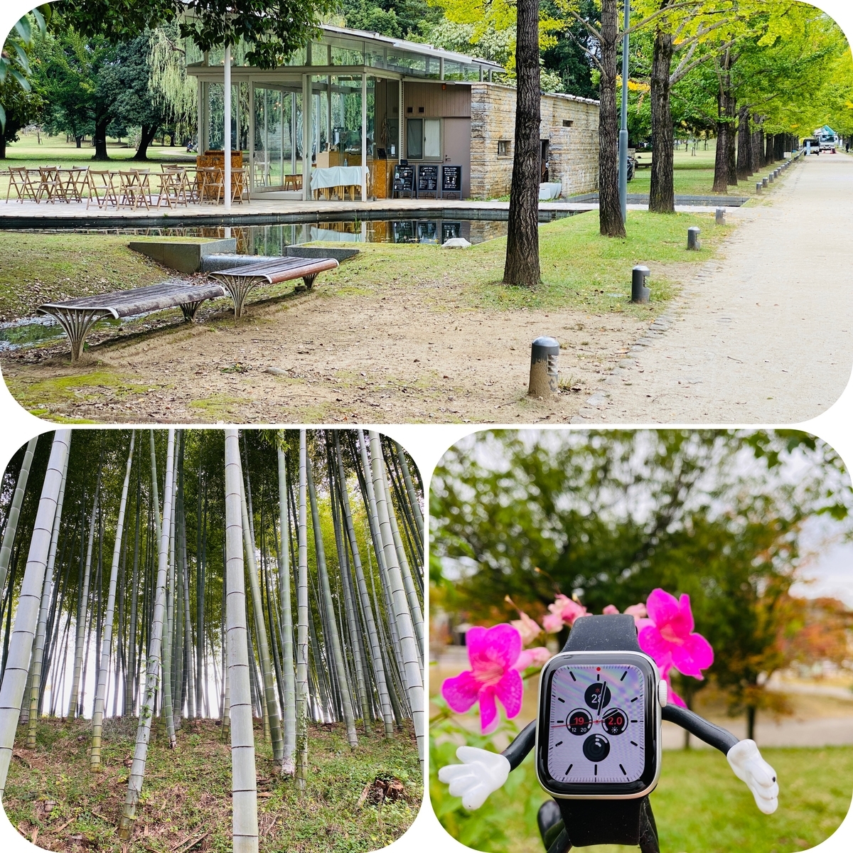 f:id:udedokeipark:20201103105843j:plain