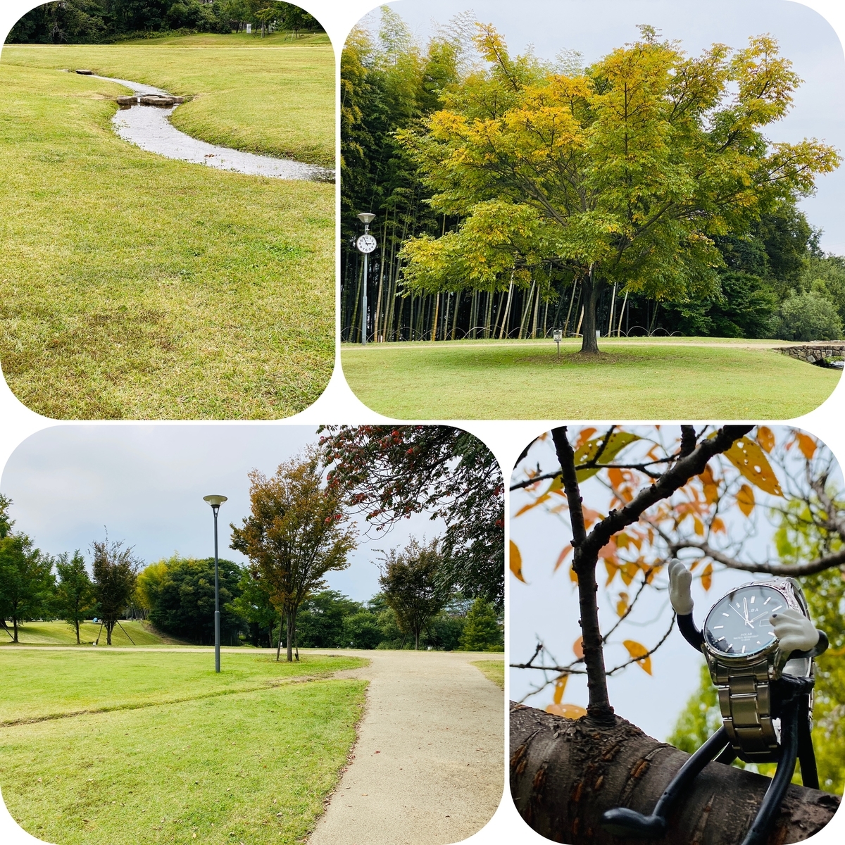 f:id:udedokeipark:20201103105918j:plain