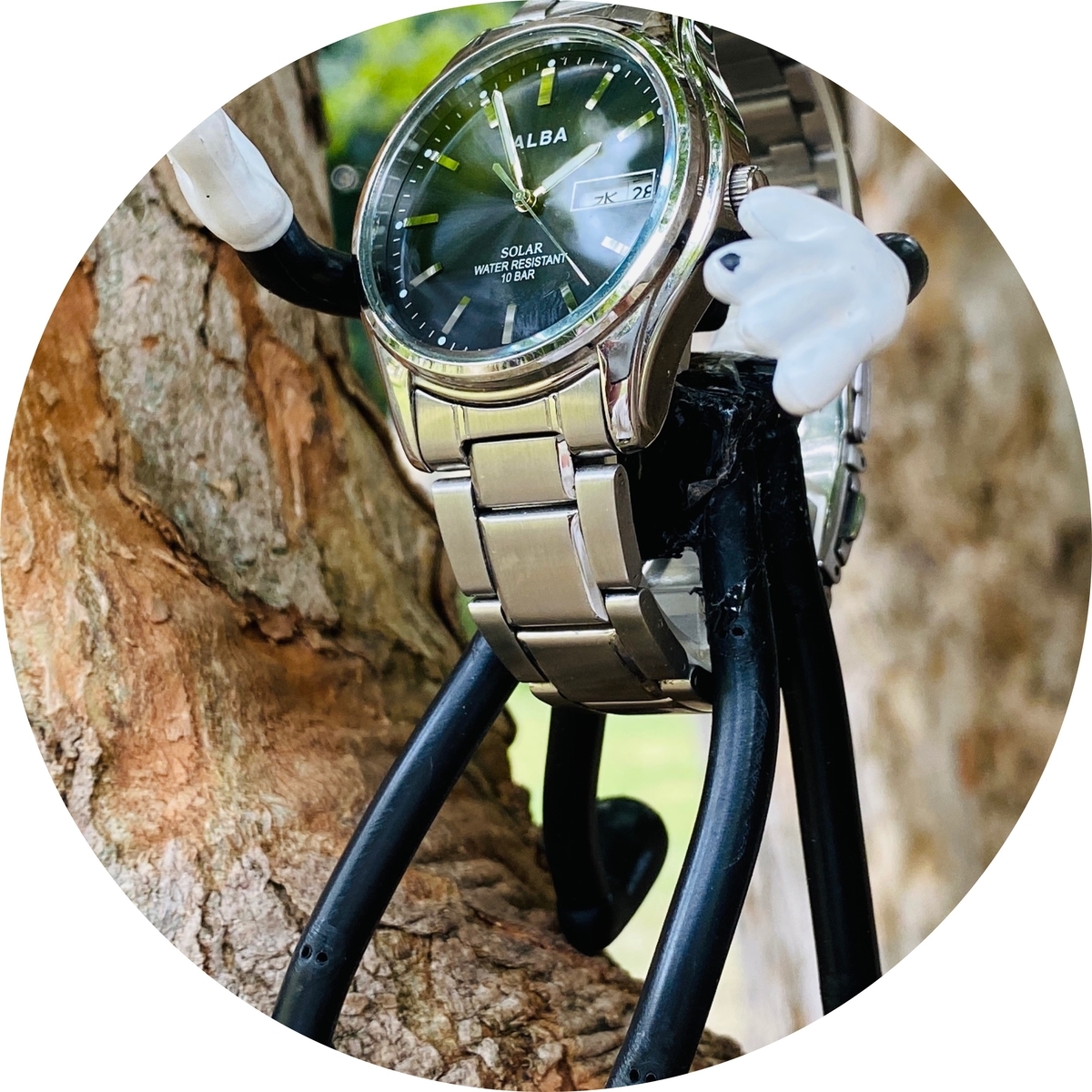 f:id:udedokeipark:20201103112131j:plain