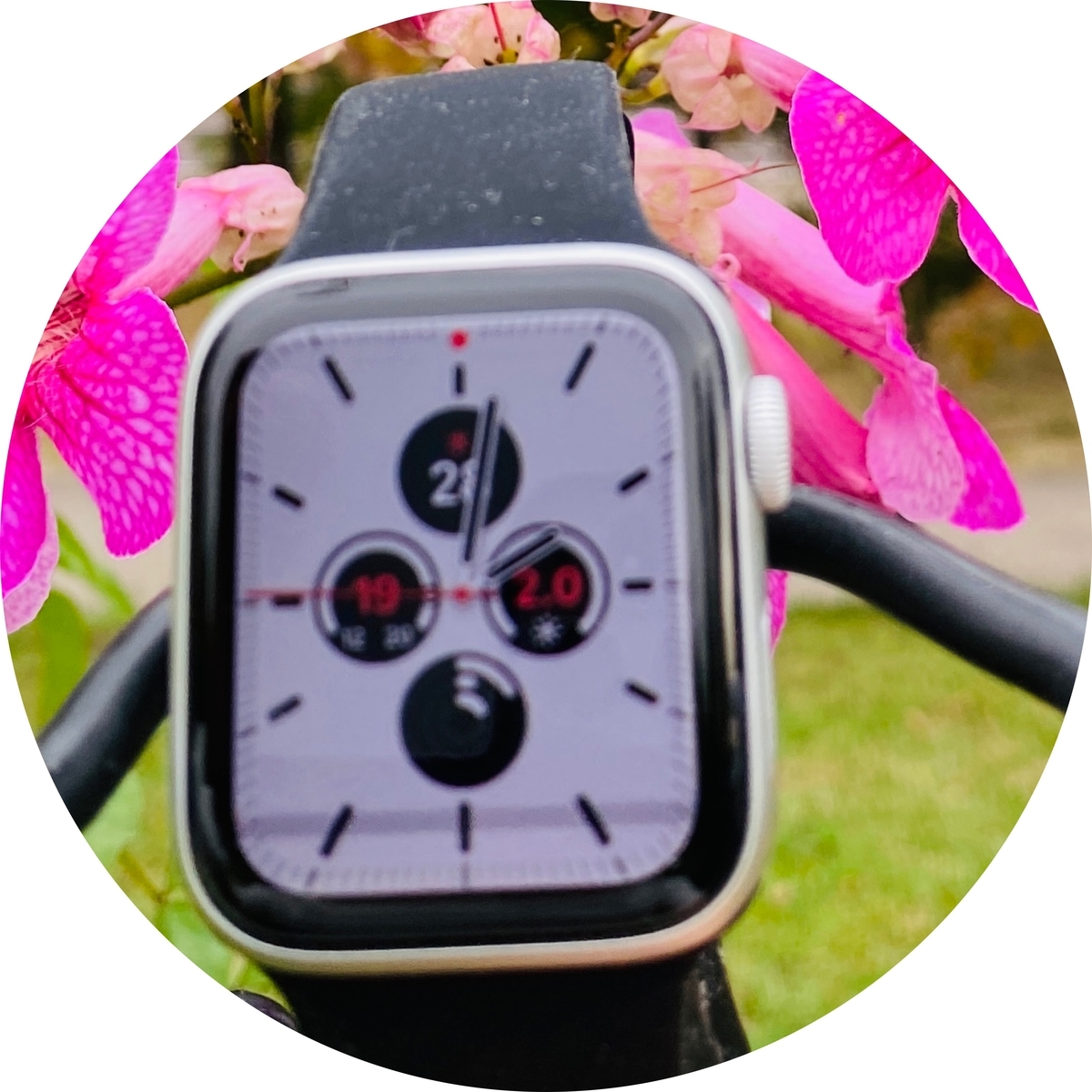 f:id:udedokeipark:20201103112135j:plain