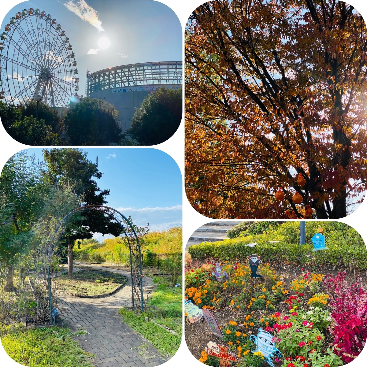 f:id:udedokeipark:20201106023425j:plain