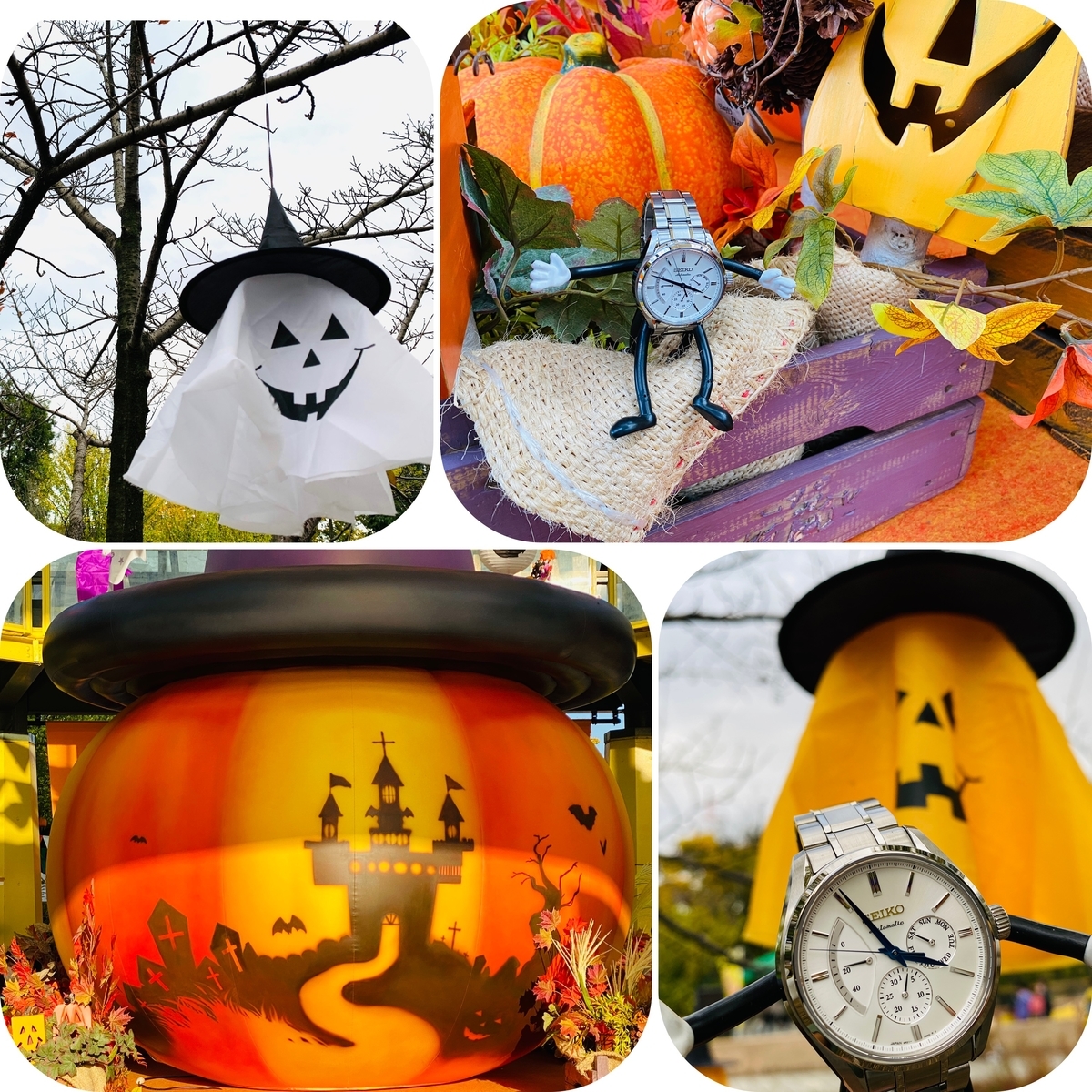 f:id:udedokeipark:20201106030220j:plain