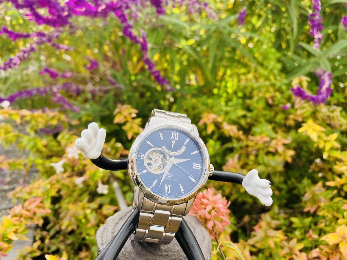 f:id:udedokeipark:20201118223117j:plain