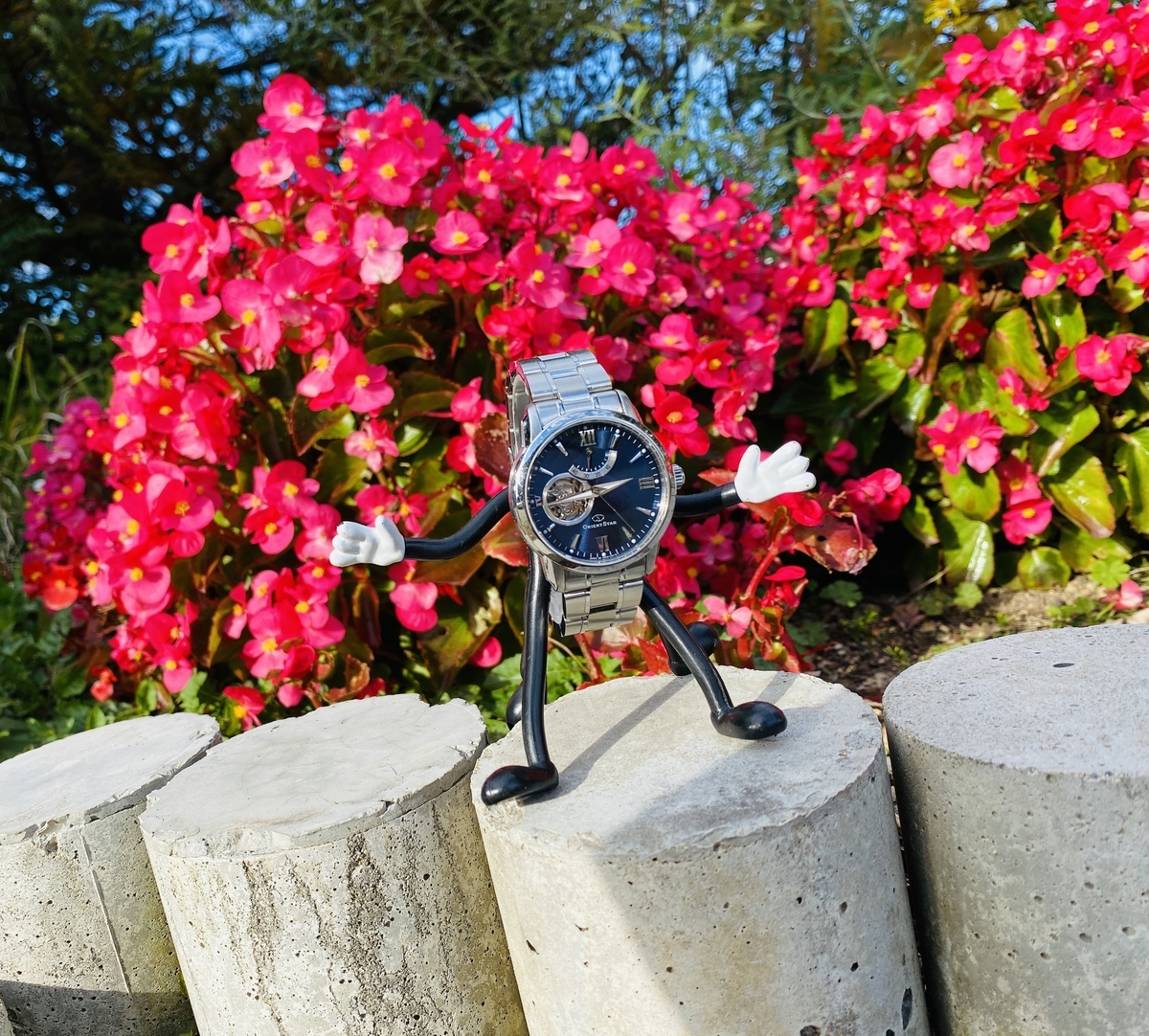 f:id:udedokeipark:20201118223127j:plain