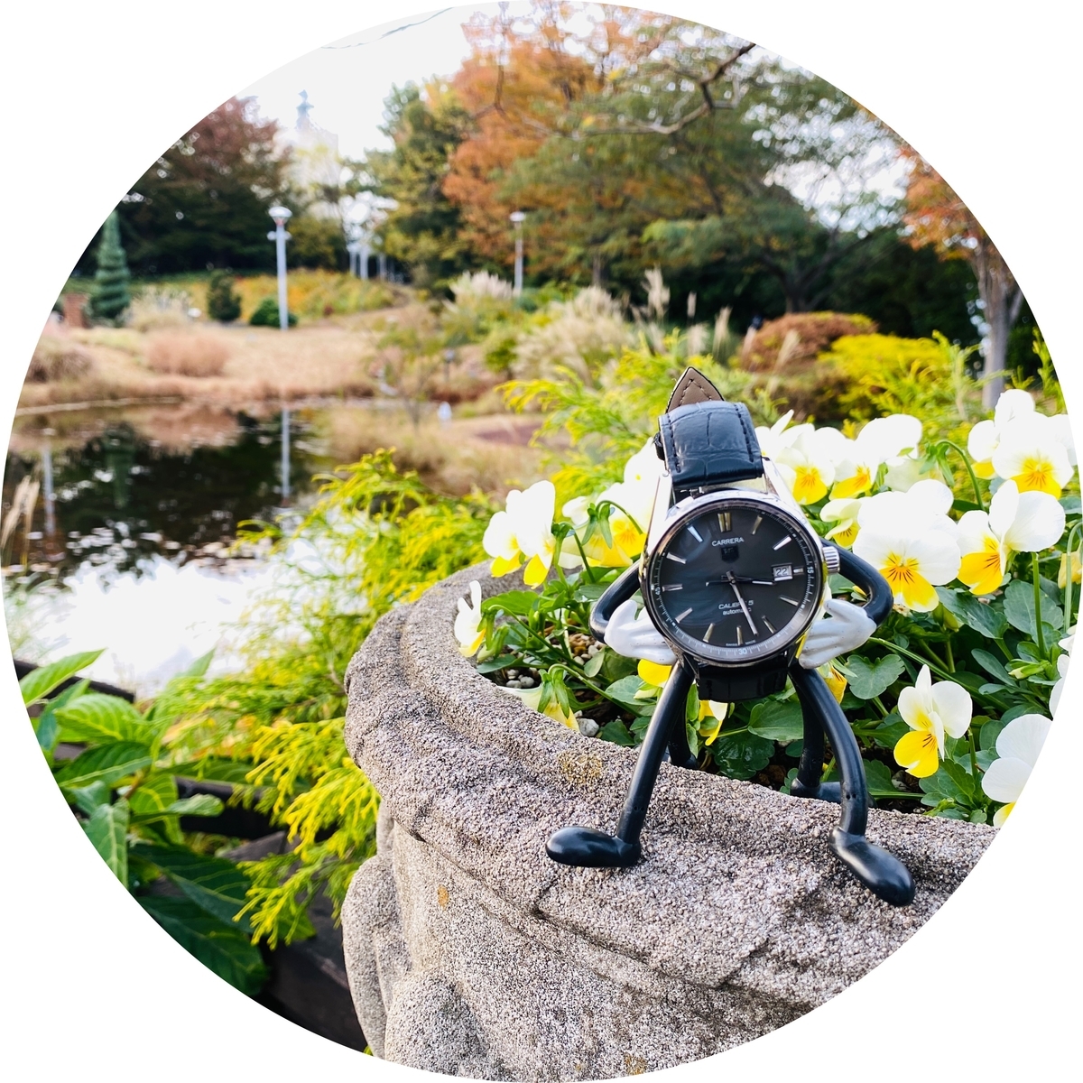 f:id:udedokeipark:20201127165647j:plain