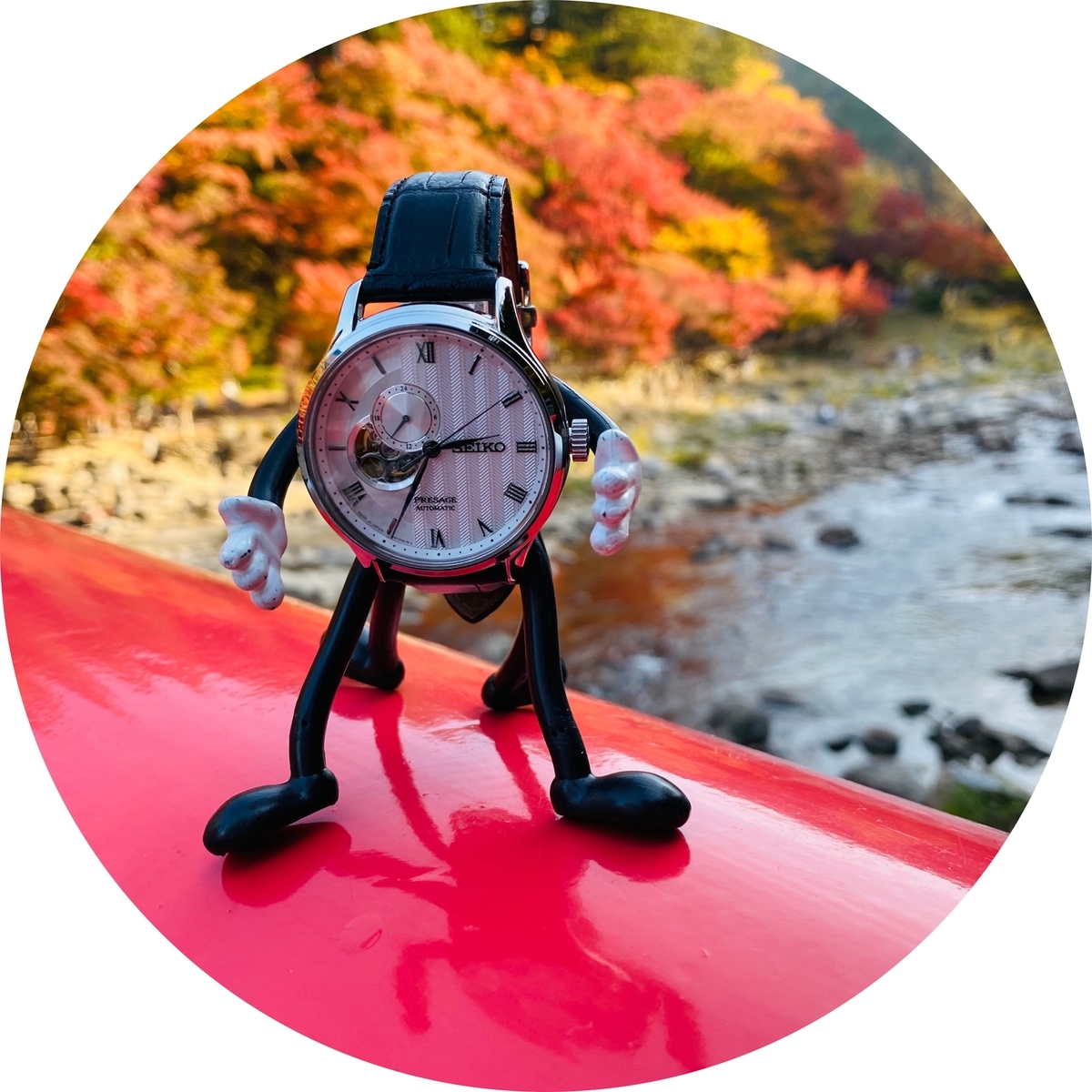 f:id:udedokeipark:20201127225851j:plain