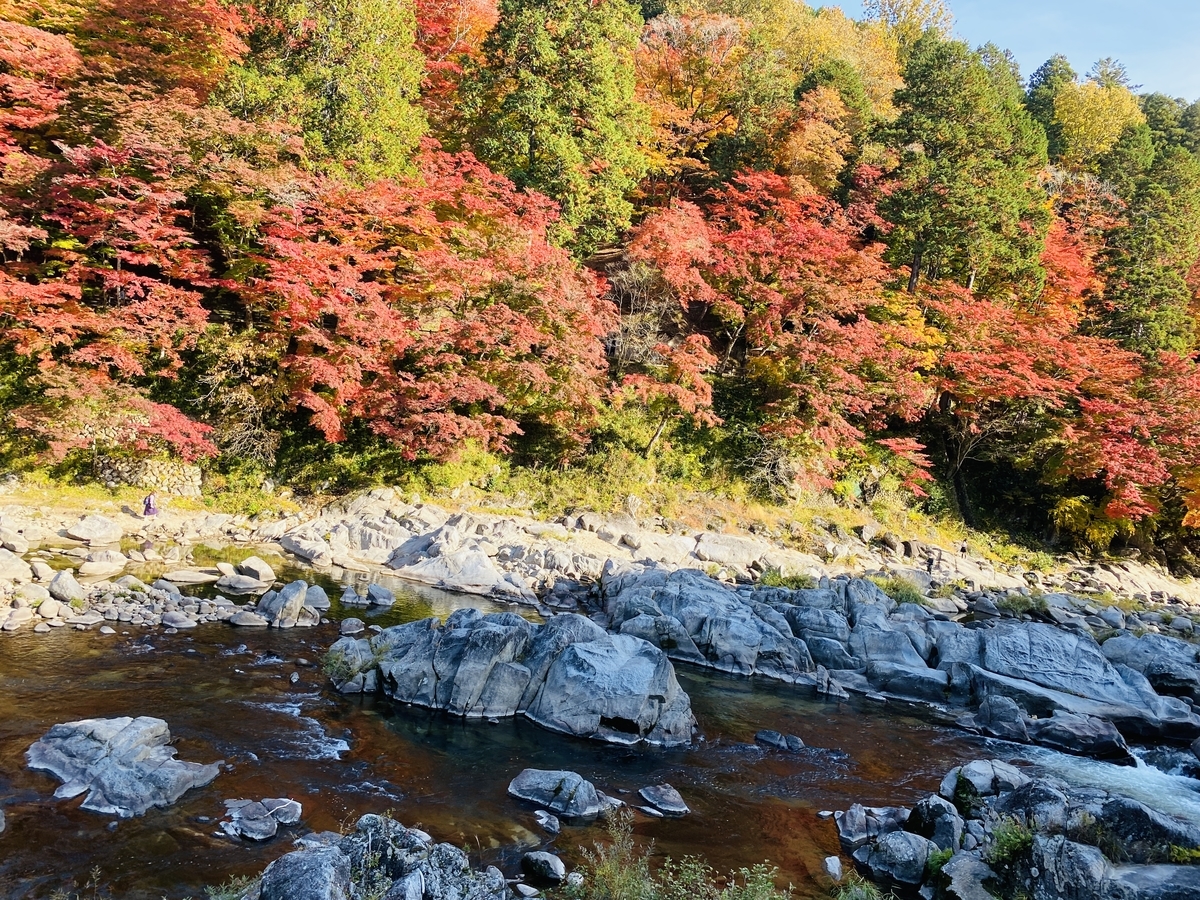 f:id:udedokeipark:20201127230904j:plain