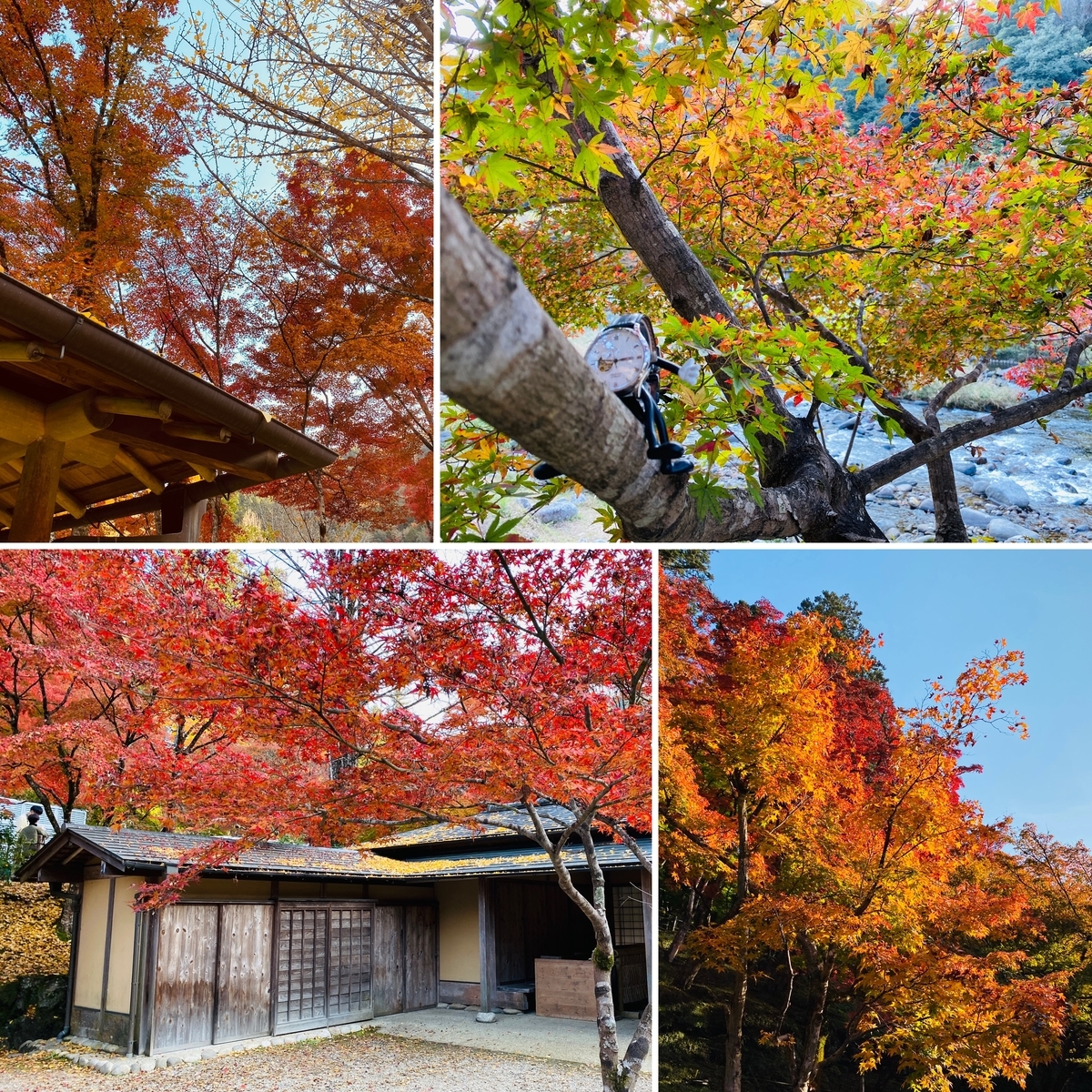 f:id:udedokeipark:20201127232134j:plain