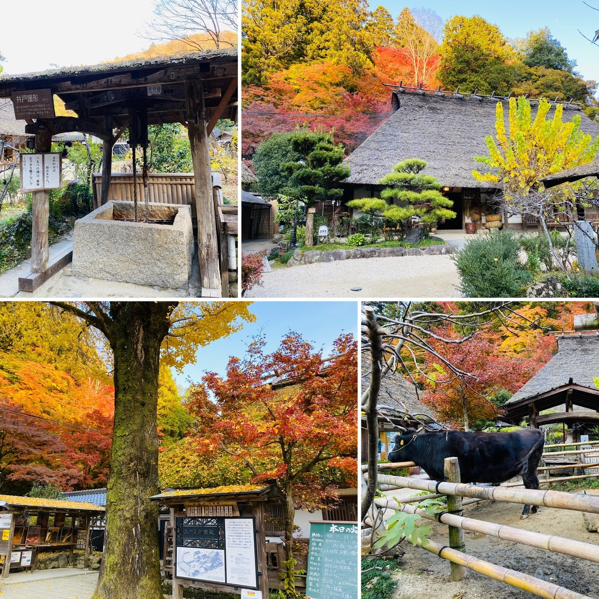 f:id:udedokeipark:20201128002842j:plain