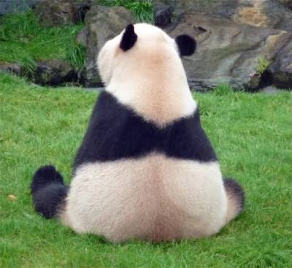 f:id:udemerry:20160930233131j:image