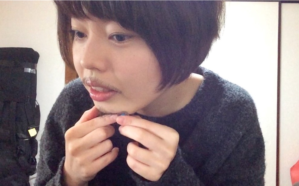 f:id:udemerry:20161201213123j:image f:id:udemerry:20161201213123j:image