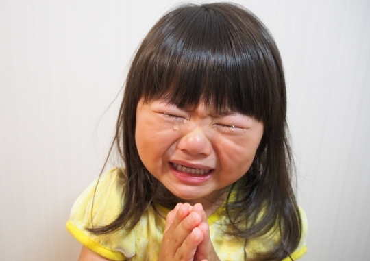 f:id:udemerry:20161227232534p:plain f:id:udemerry:20161227232534p:plain