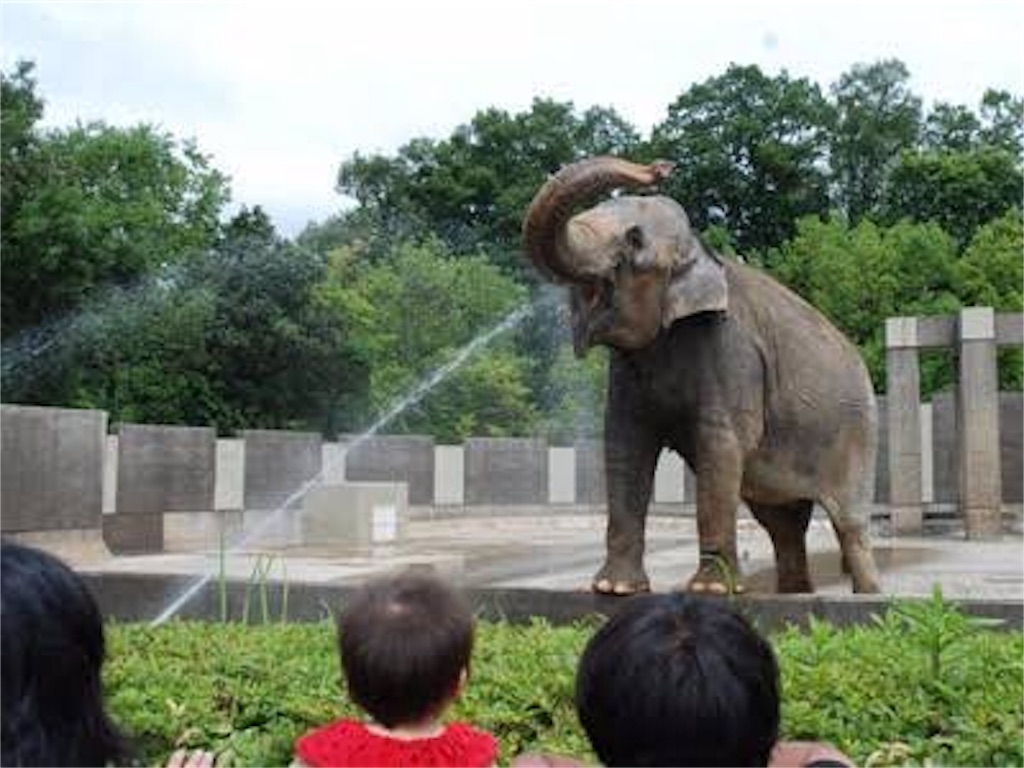 f:id:udemerry:20180624030827j:image f:id:udemerry:20180624030827j:image